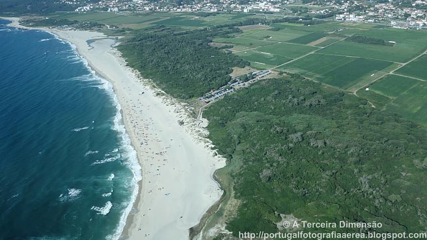 Lugar Praia da Arda (Mariana) 