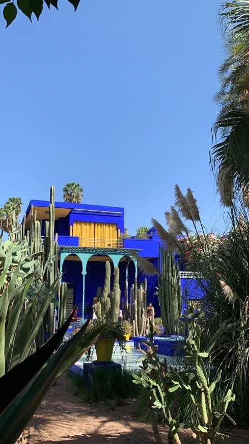 Lugar Jardín Majorelle