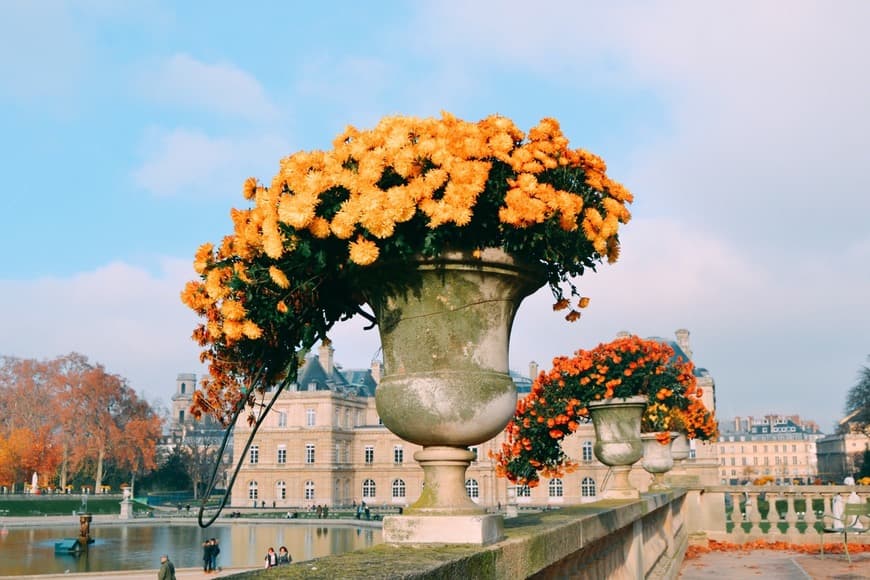 Place Jardines de Luxemburgo