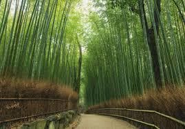 Place Arashiyama (Kyoto)