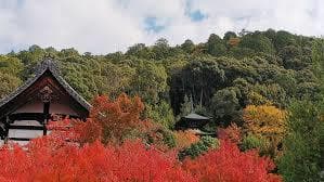 Place Eikan-do Zenrin-ji