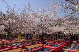 Place Maruyama Park