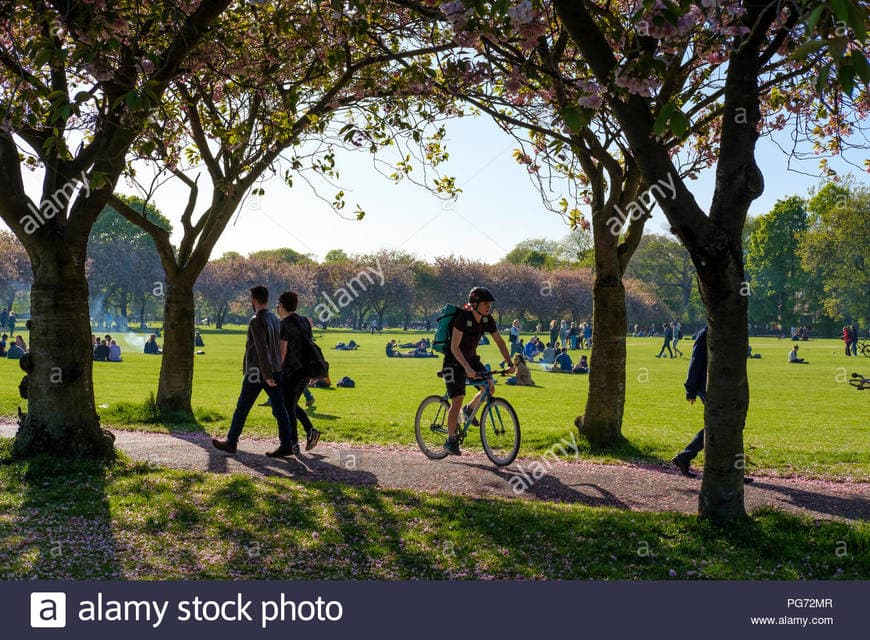 Place The Meadows