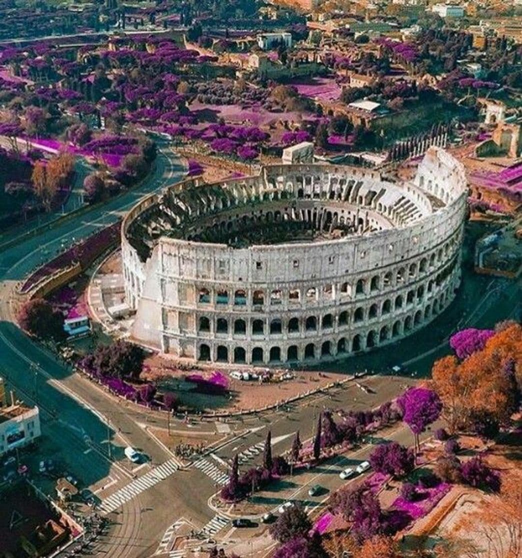 Place coliseo romano