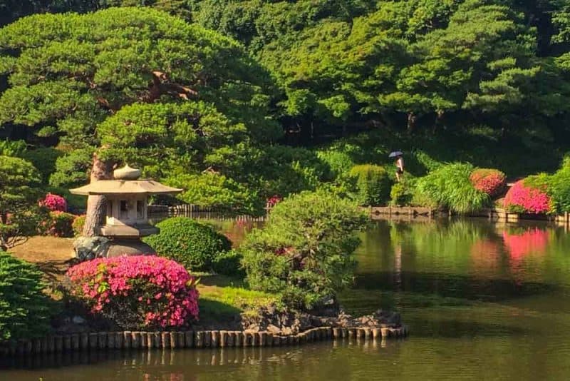 Place Shinjuku Gyoen National Garden