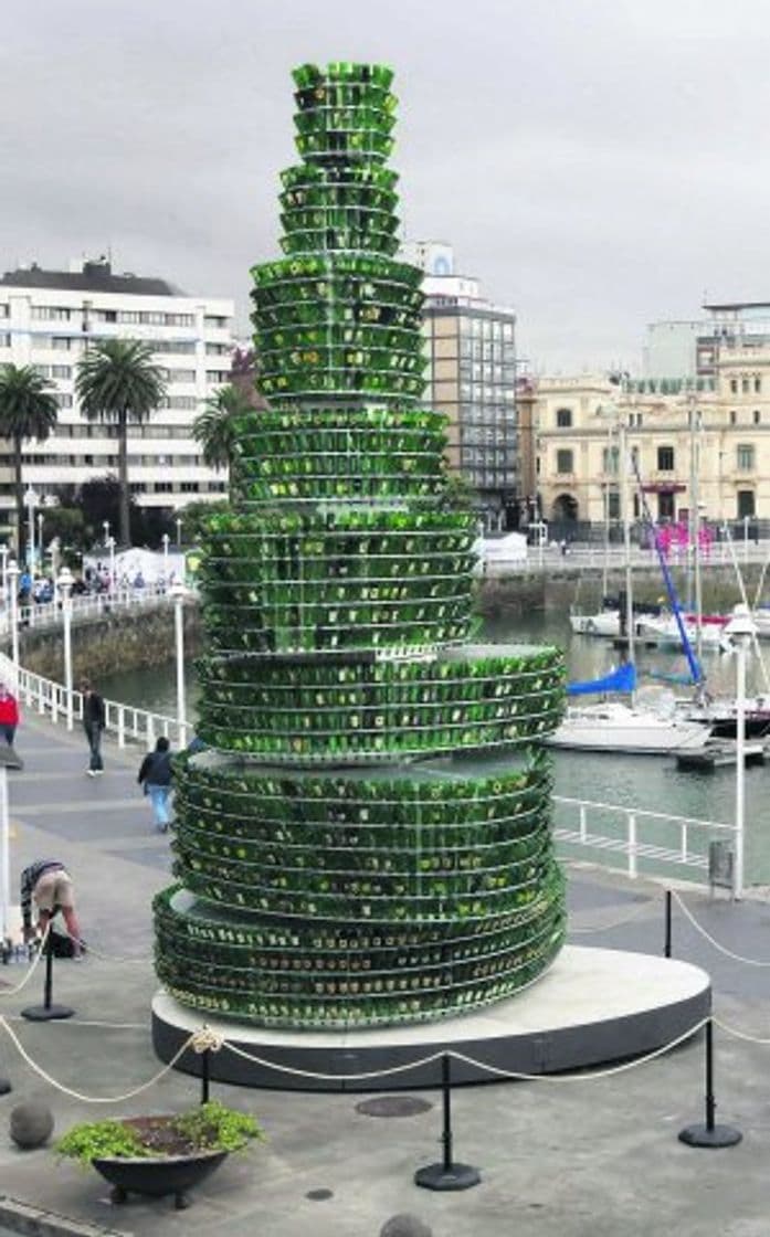 Place Árbol de la Sidra