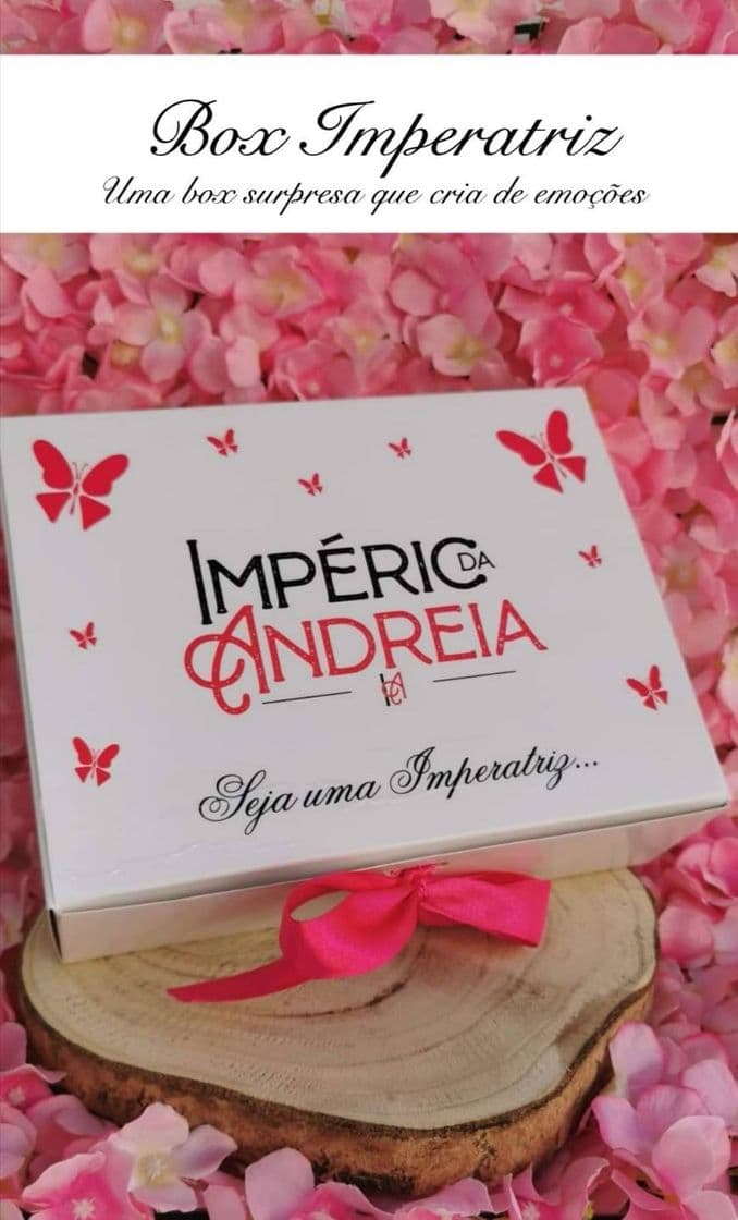 Moda Box imperatriz 