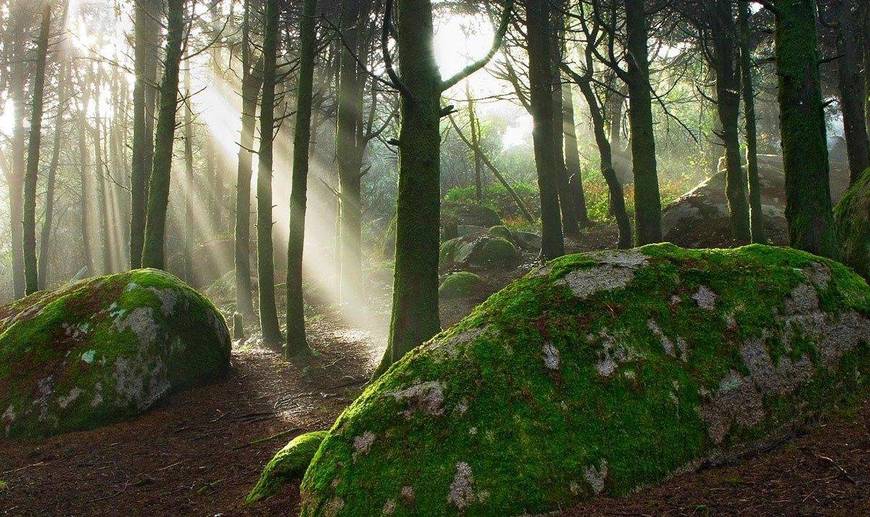 Lugar Sintra Mountains