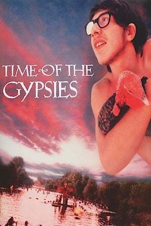 Película Time of the Gypsies