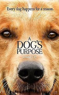 Película A Dog's Purpose