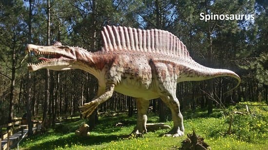 Lugar Dino Parque Lourinhã