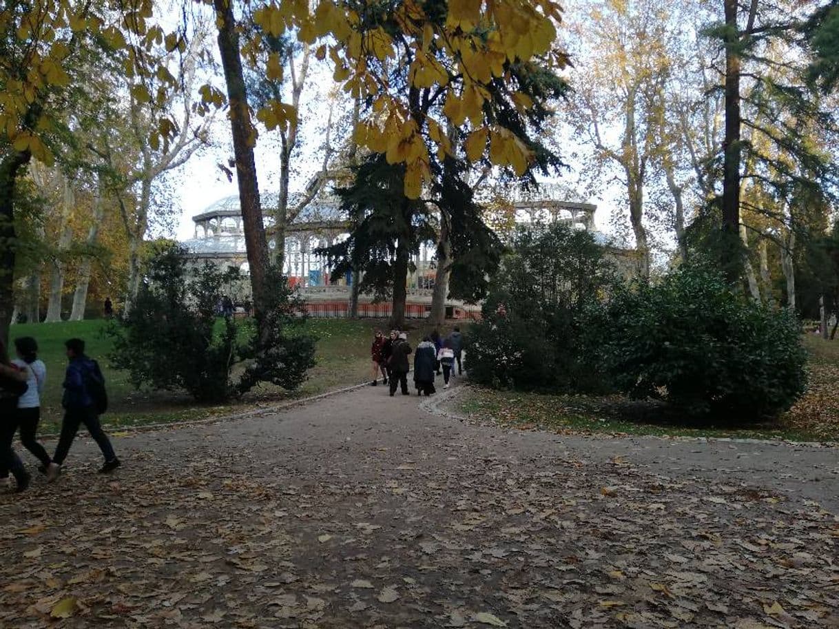 Place Museo do Prado