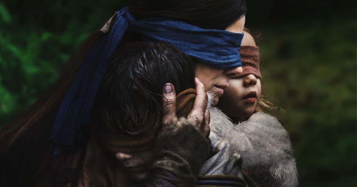 Serie Bird Box