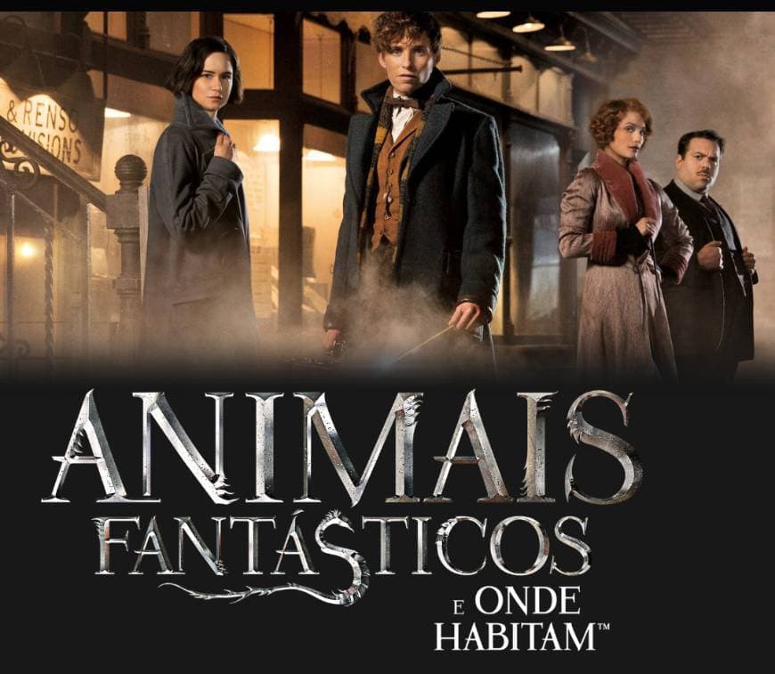 Movie Animais Fantásticos e Onde Habitam