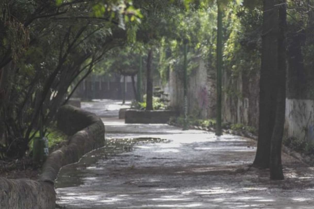 Place Paseo del Río