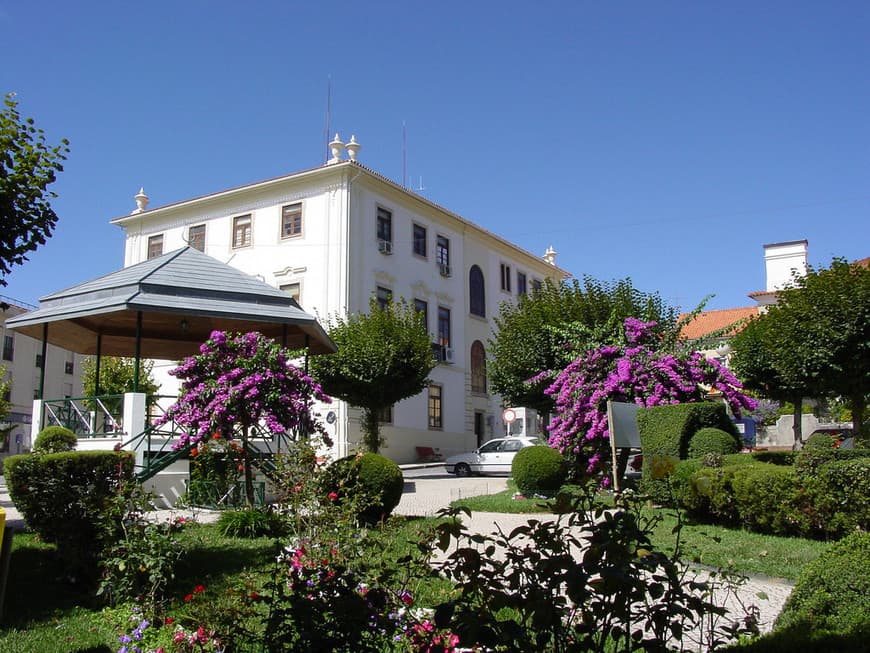 Place Figueiró dos Vinhos