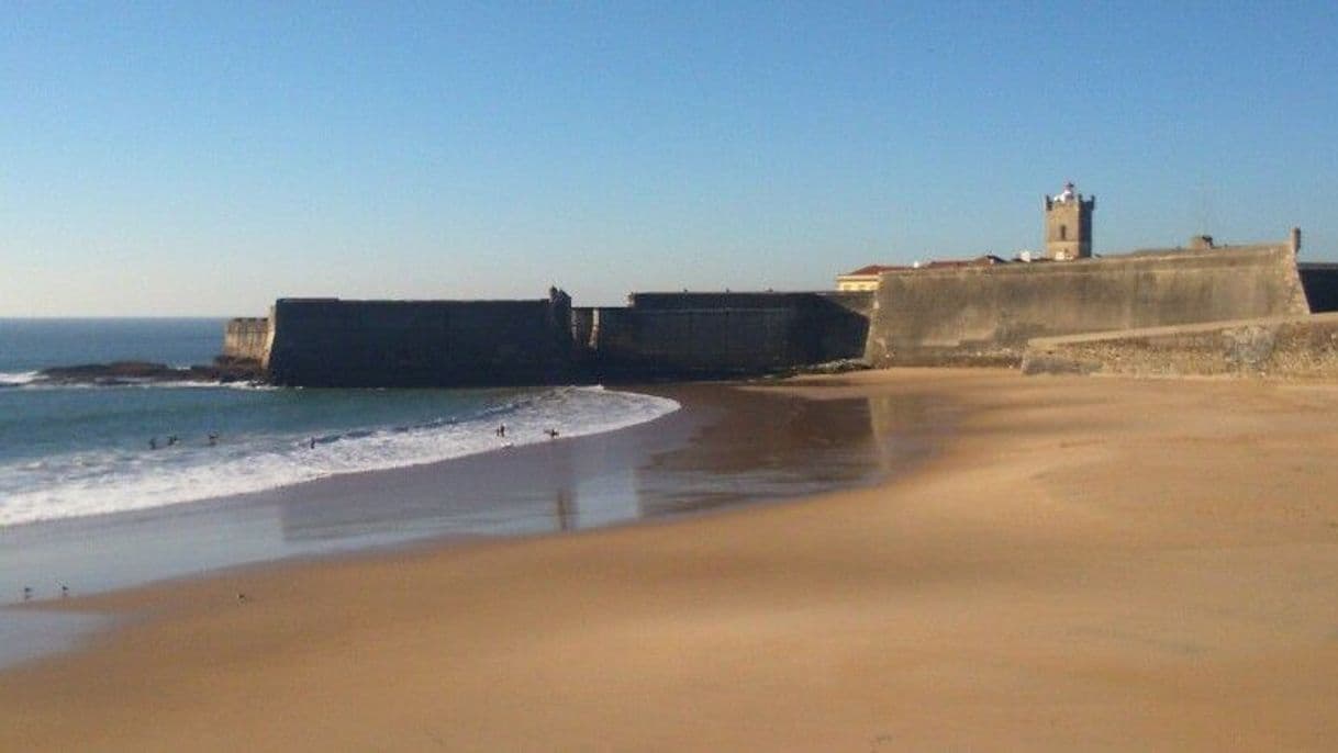 Lugar Torre's beach