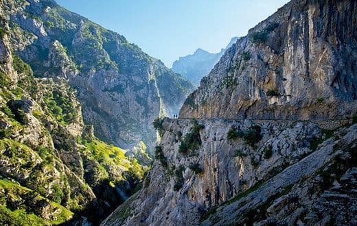 Place Picos de Europa