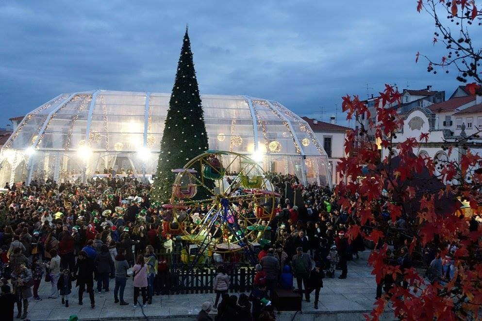 Place Bragança, Terra Natal e de Sonhos