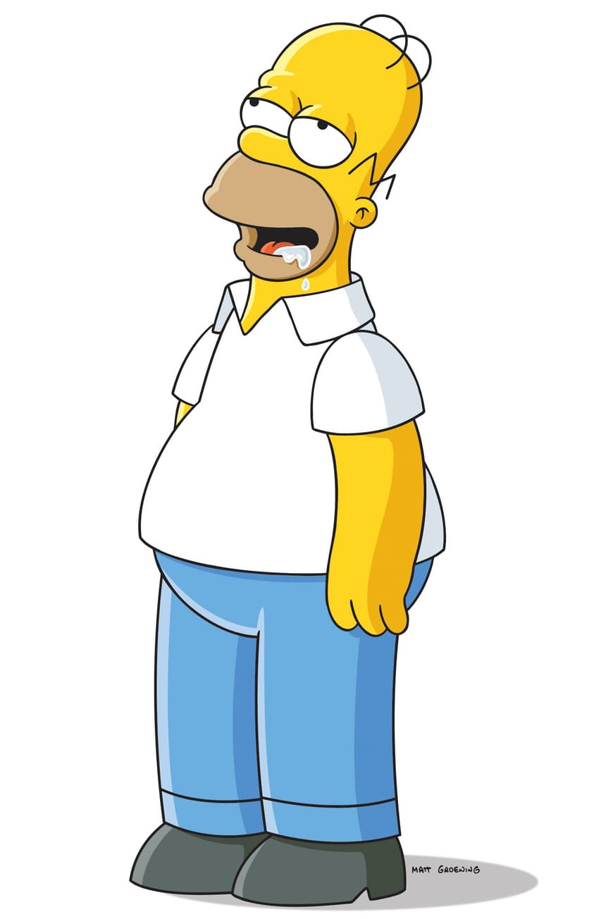 Fashion Homer Simpson