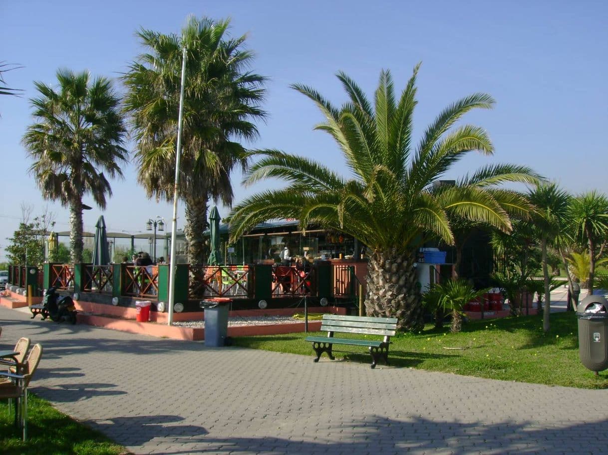 Restaurantes Bar Luar da Barra