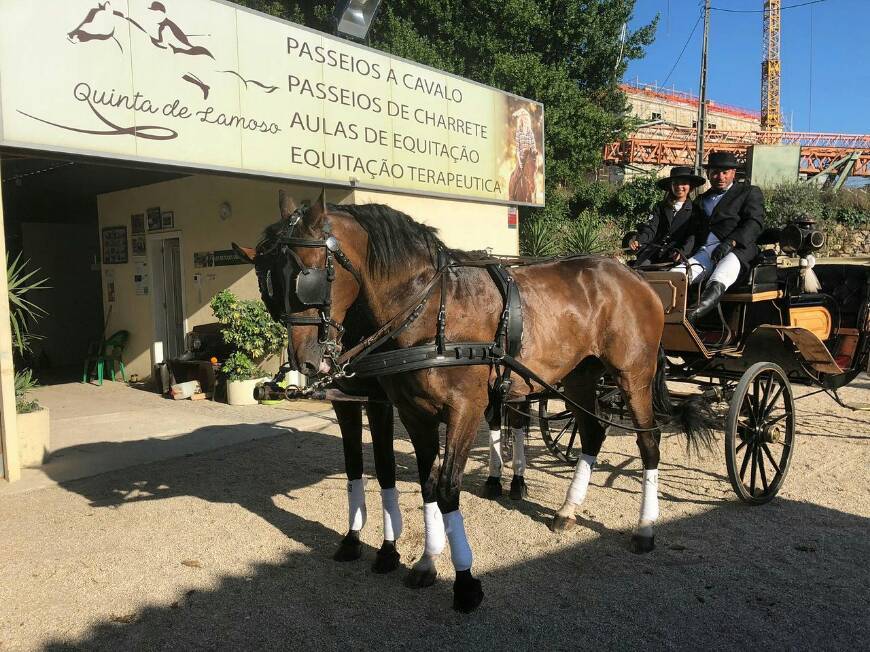 App QUINTA DE LAMOSO-CALDELAS, AMARES, BRAGA