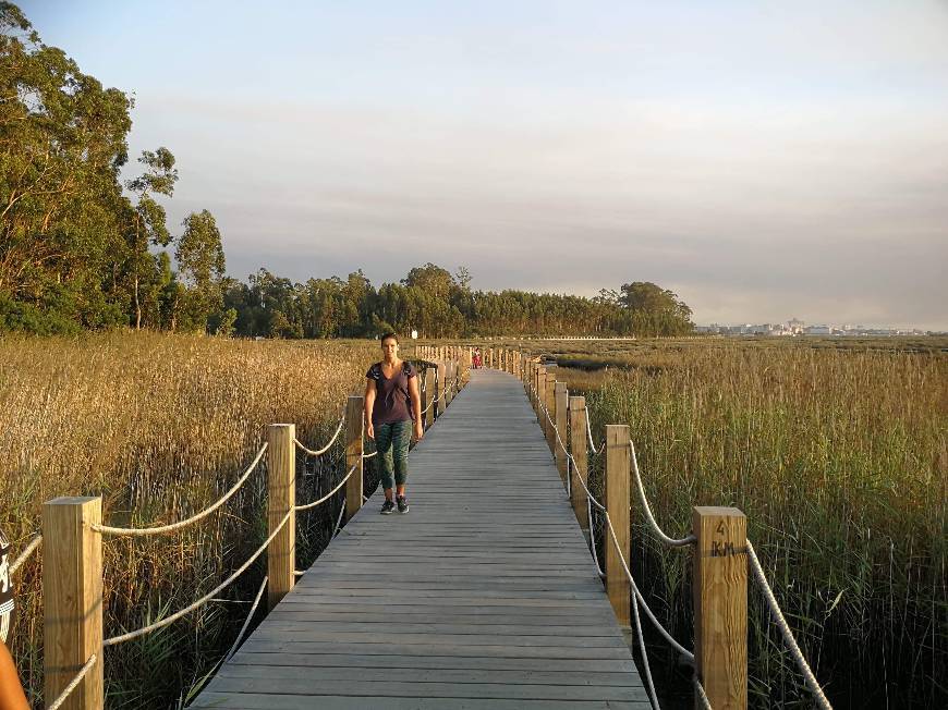 Lugar Passadiços Ria de Aveiro