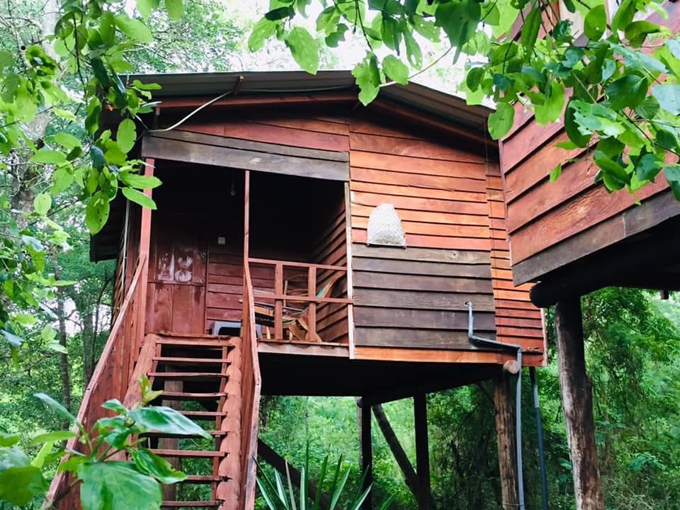 Lugar Tree House Hostel