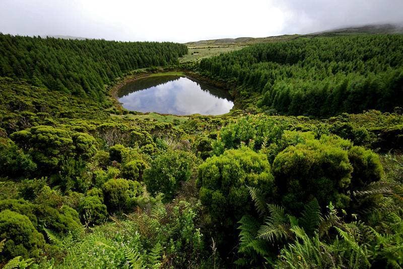 Place Lagoa Negra