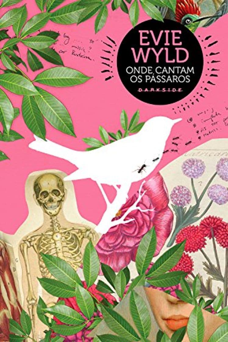 Book Onde cantam os pássaros – DarkSide Books