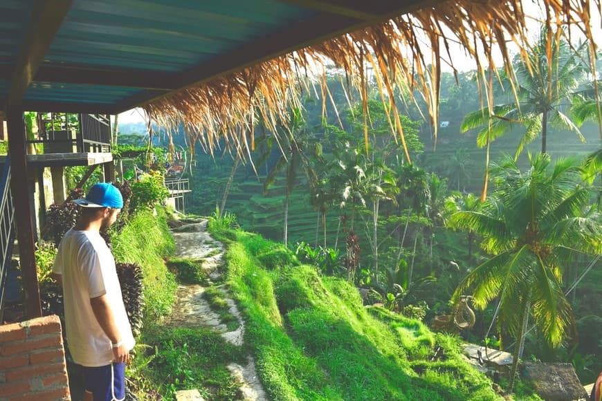 Lugar Tegallalang Rice Terrace