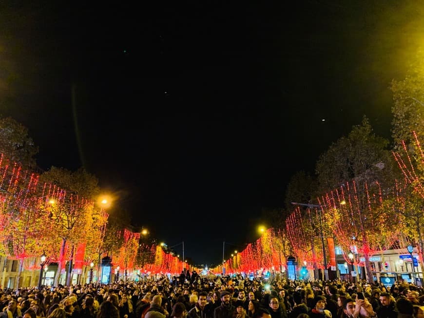 Place Champs Elysees