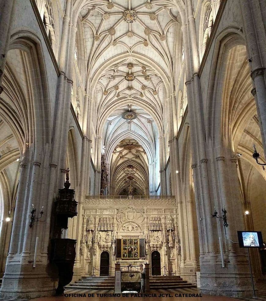 Lugar Catedral de Palência