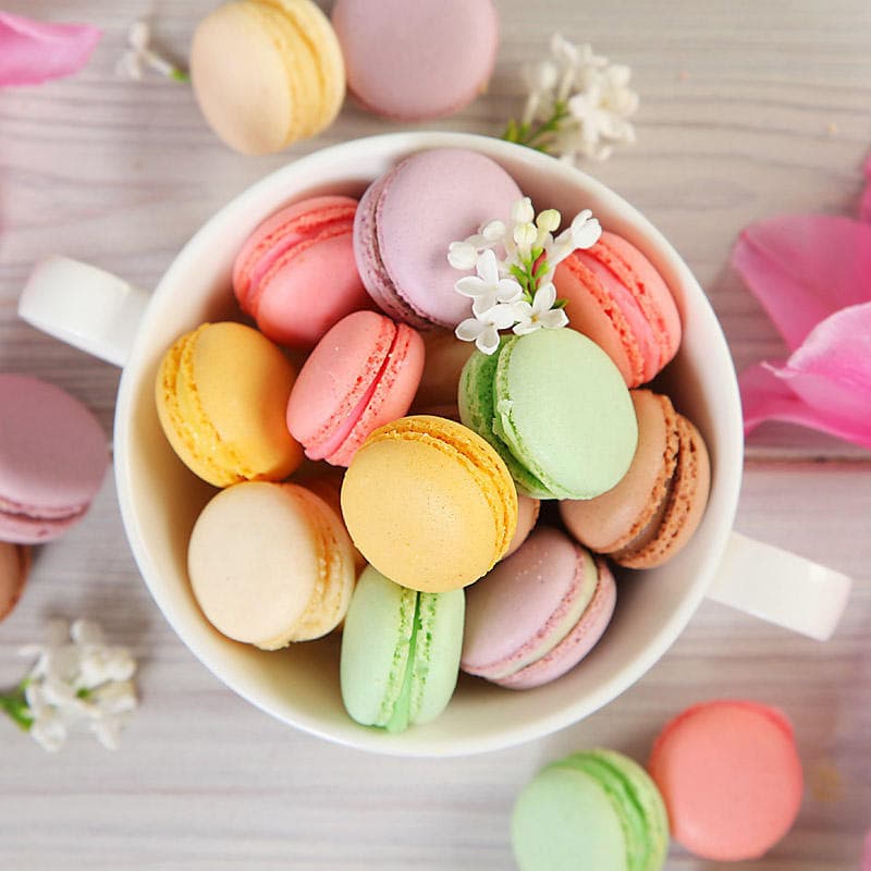 Fashion Macaroon