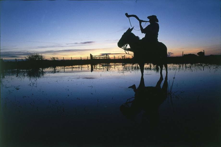 Lugar Pantanal