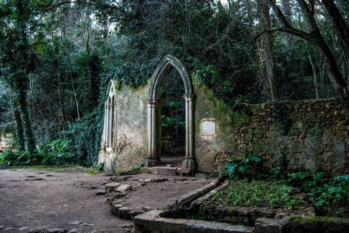 Place Jardins da Quinta das Lágrimas