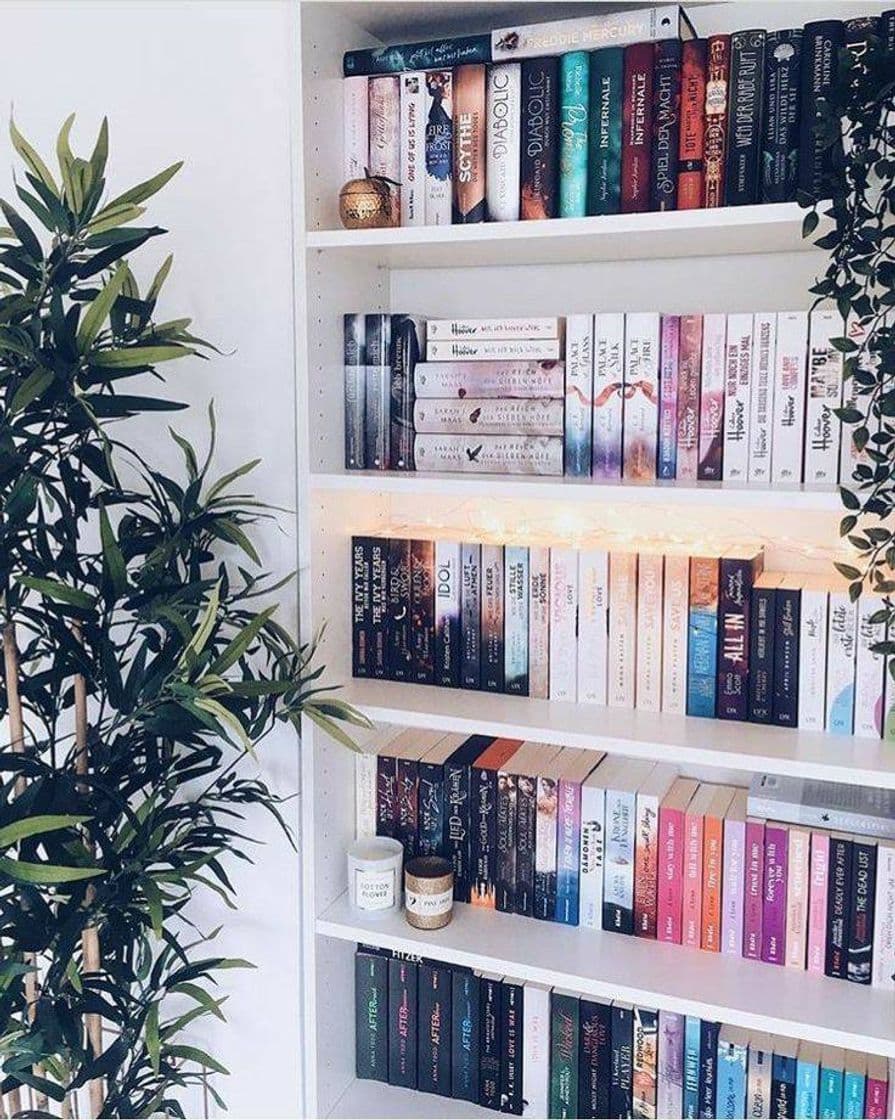 Moda Bookshelf Idea