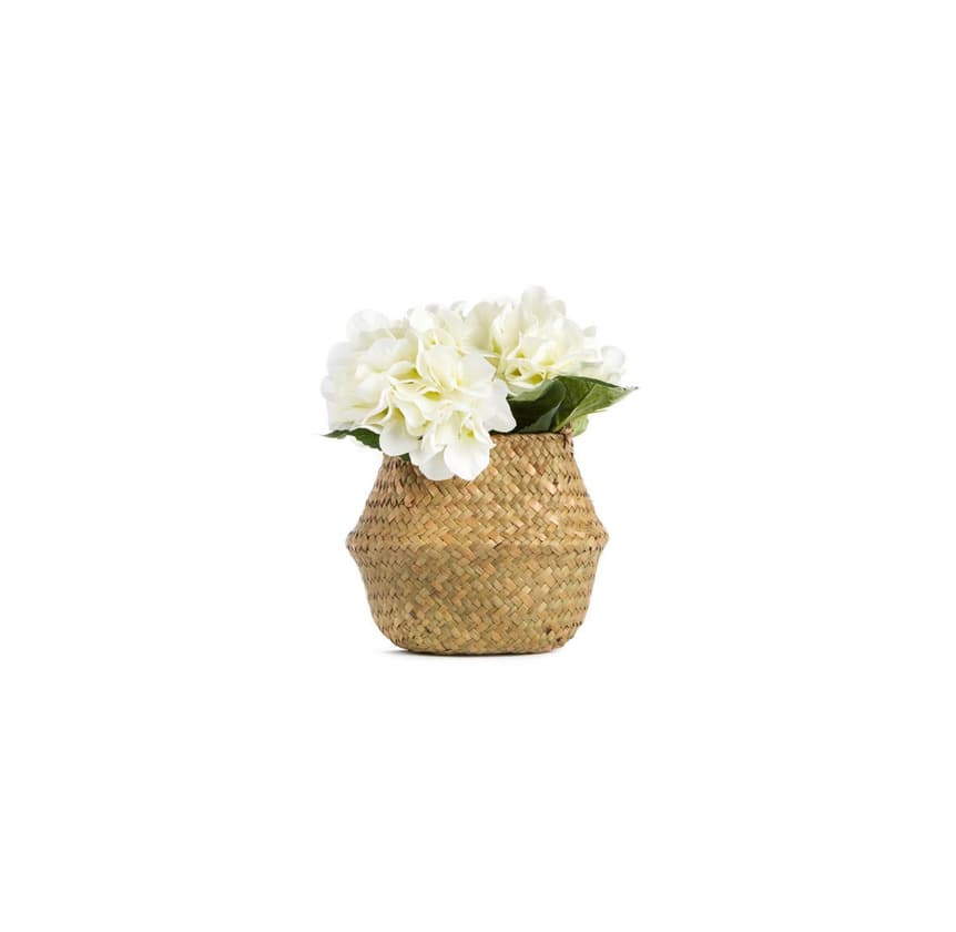 Product Cesto de Flores