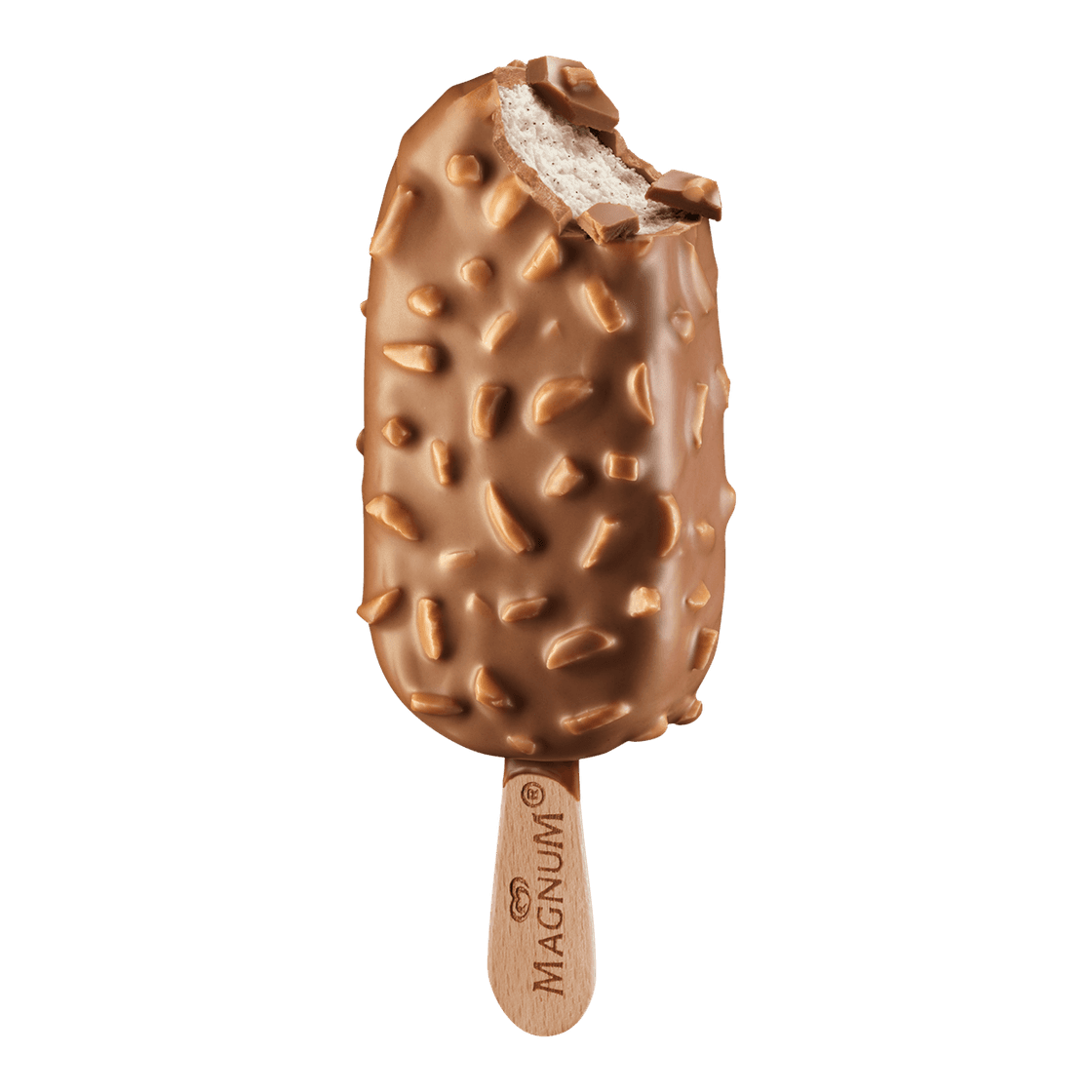 Fashion Magnum 