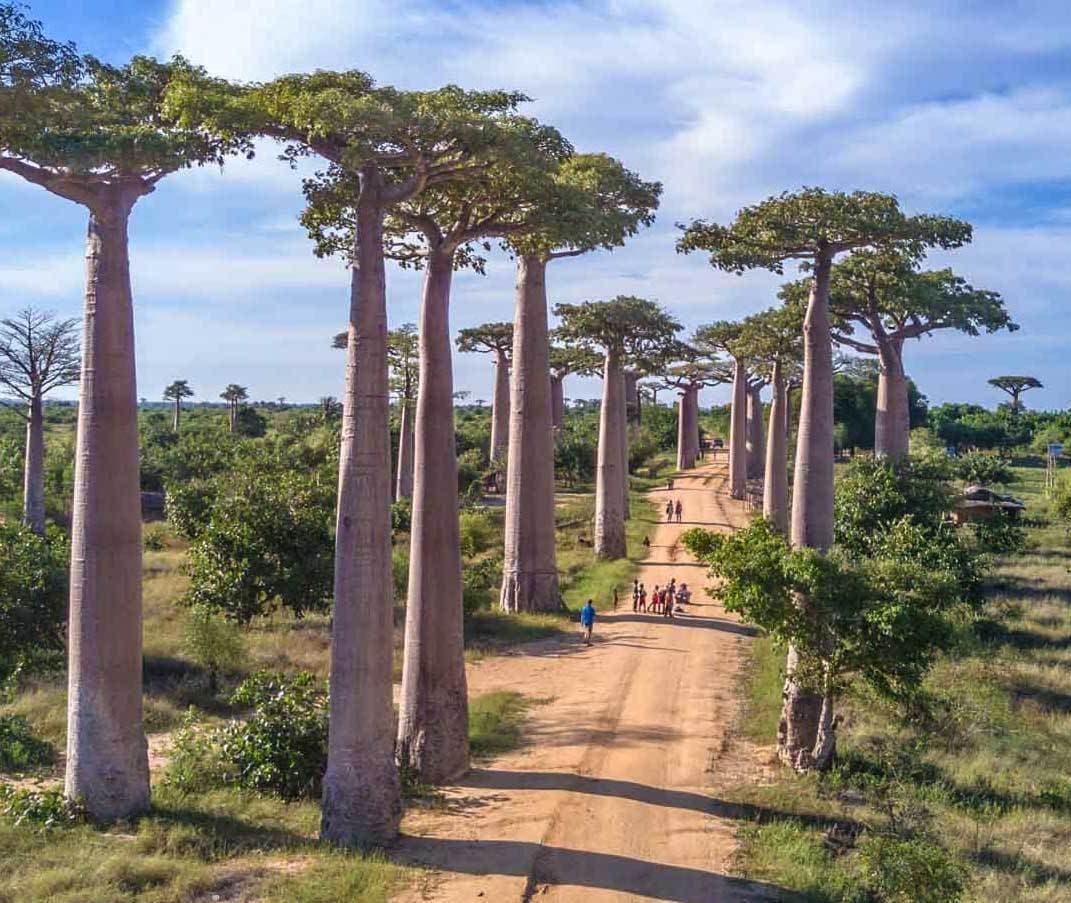 Place Madagascar