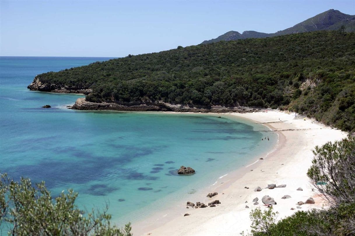 Place Praia dos Galapinhos