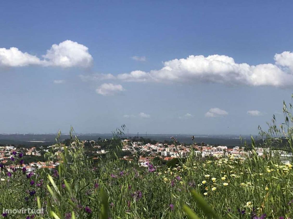 Lugar Aldeia Do Meco-Sociedade Para O Desenvolvimento Turistico, S.A.