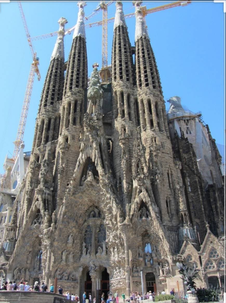 Lugar Basílica Sagrada Familia