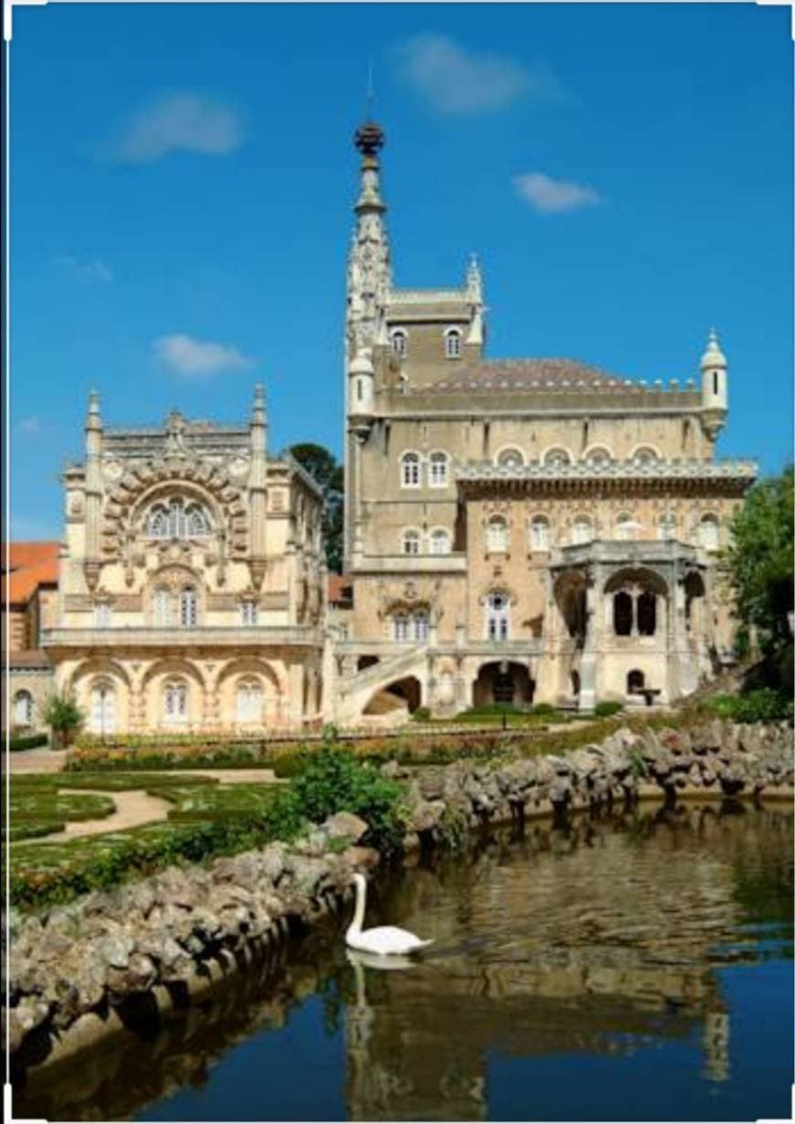 Place Bussaco Palace Hotel