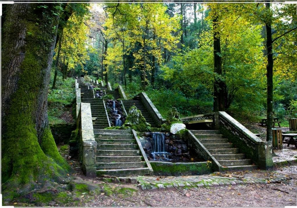 Place Mata Nacional do Buçaco