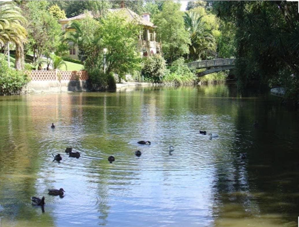 Place Parque Dom Pedro Infante - City Park