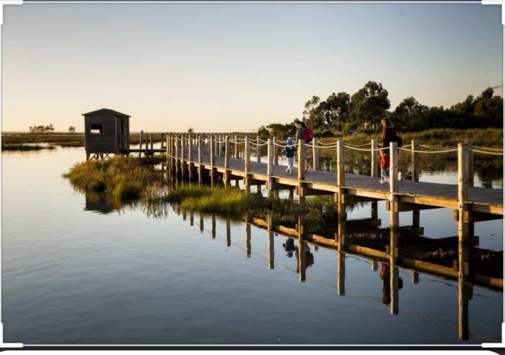 Place Passadiços Ria de Aveiro