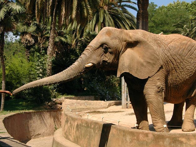 Lugar Zoológico de Chapultepec