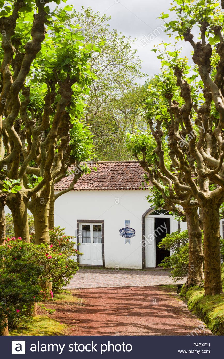 Lugar Fábrica de Chá do Porto Formoso