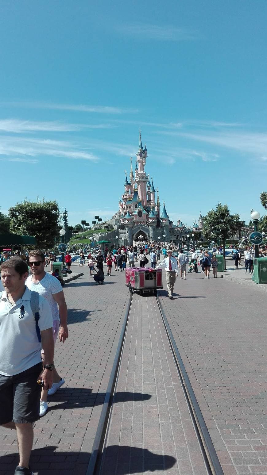 Place Disneyland Park